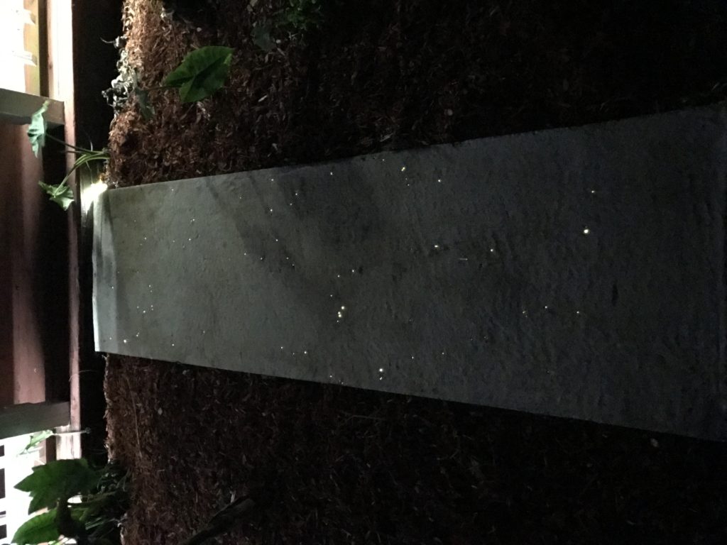 Additional angle of the completed concrete sidewalk slab in daylight