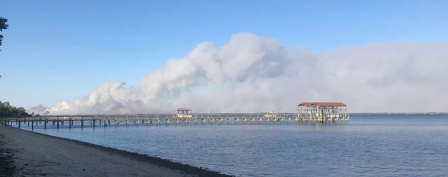 Five Mile Swamp Fire in Photo